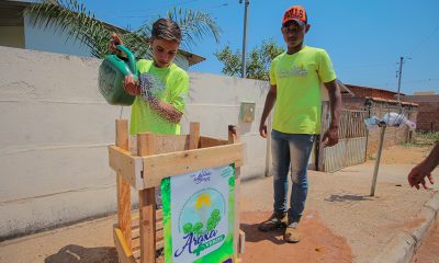 Projeto “Araxá Mais Verde” é implantado com objetivo de arborizar bairros da cidade