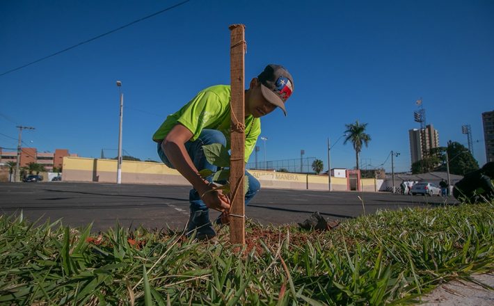 Prefeitura de Araxá divulga lista de aprovados do Programa Casa do Pequeno Jardineiro 2023