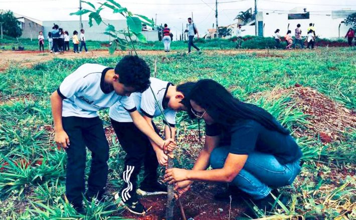 Prefeitura recupera Áreas Verdes de Araxá