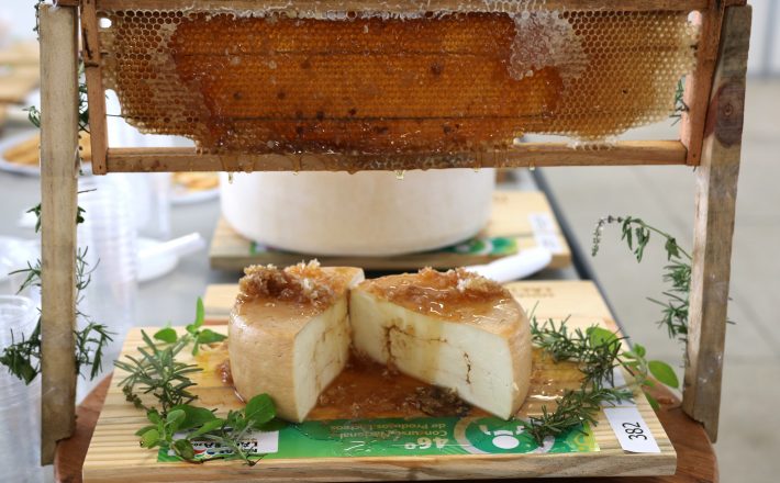 Produtores de queijo artesanal precisam de habilitação sanitária para participar da ExpoQueijo Brasil