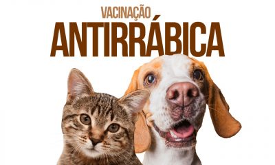 Araxá realiza repescagem da Campanha de Vacinação Antirrábica Animal