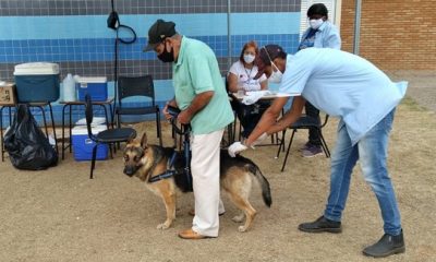 Campanha de Vacinação Antirrábica Animal na Zona Urbana acontece de 11 a 17 de setembro