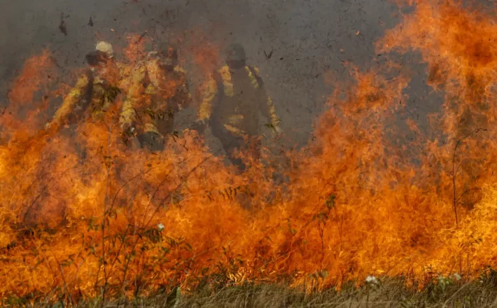 Pantanal acumula em 12 meses mais de 9 mil focos de incêndio