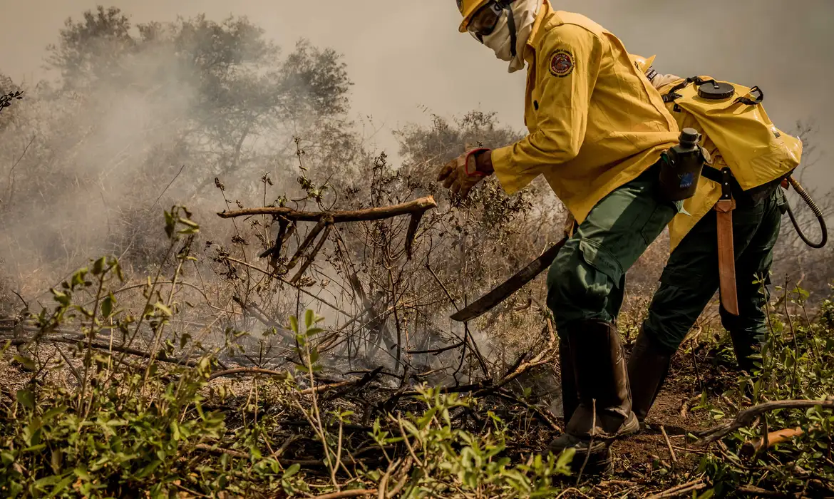 Incêndios no Pantanal já consumiram este ano mais de 15% do bioma