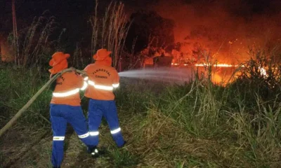 Situação de emergência por incêndio florestal cresceu 354% em agosto