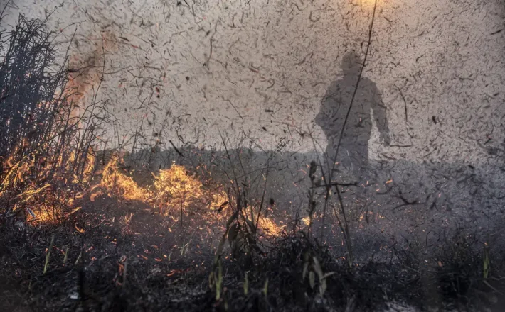 Focos de incêndios no Brasil já são 76% maior que em 2023