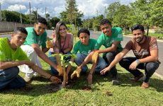 IPDSA realiza o plantio de mais de 90 árvores em vários pontos da cidade