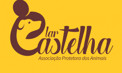 NOTA Prefeitura de Araxá sobre denúncia de maus-tratos de animais no Lar Castelha