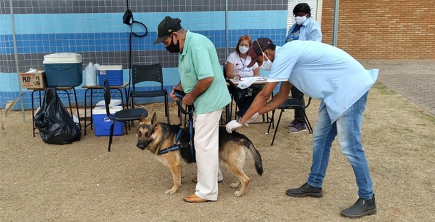 Campanha de Vacinação Antirrábica Animal na Zona Urbana acontece de 11 a 17 de setembro