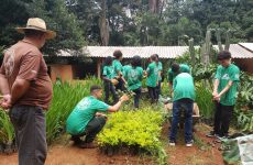 Casa do Pequeno Jardineiro promove Feira de Sustentabilidade nesta quinta-feira (30)