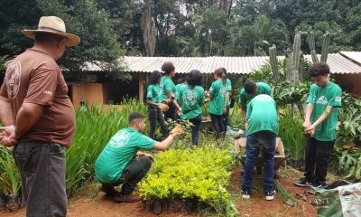 Casa do Pequeno Jardineiro promove Feira de Sustentabilidade nesta quinta-feira (30)