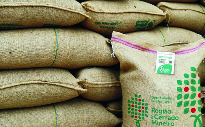 Café da Região do Cerrado Mineiro registra crescimento de 160%% na certificação de origem em 2024