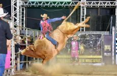 ARS 2025 terá maior arena da história e nomes consagrados do universo do rodeio brasileiro