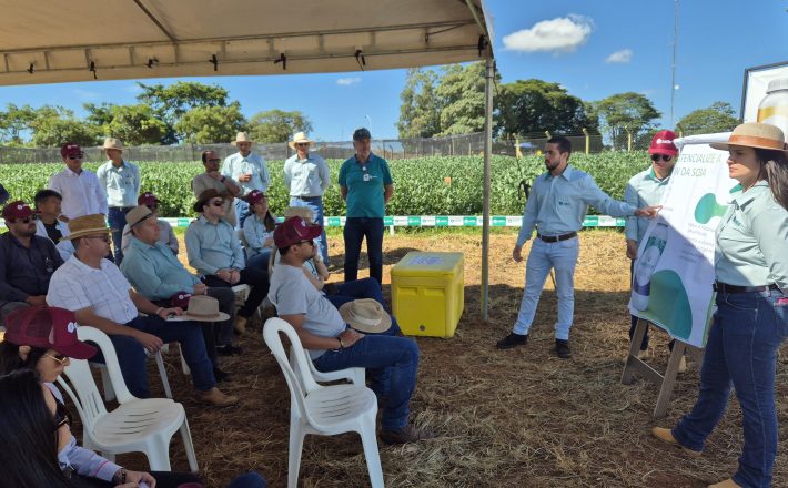 Dia de Campo da Satis reúne produtores e especialistas em Araxá/MG