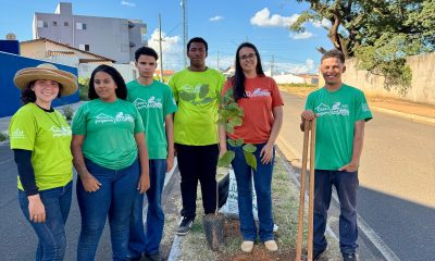 Raízes do Futuro – Projeto inicia plantio de árvores em Araxá