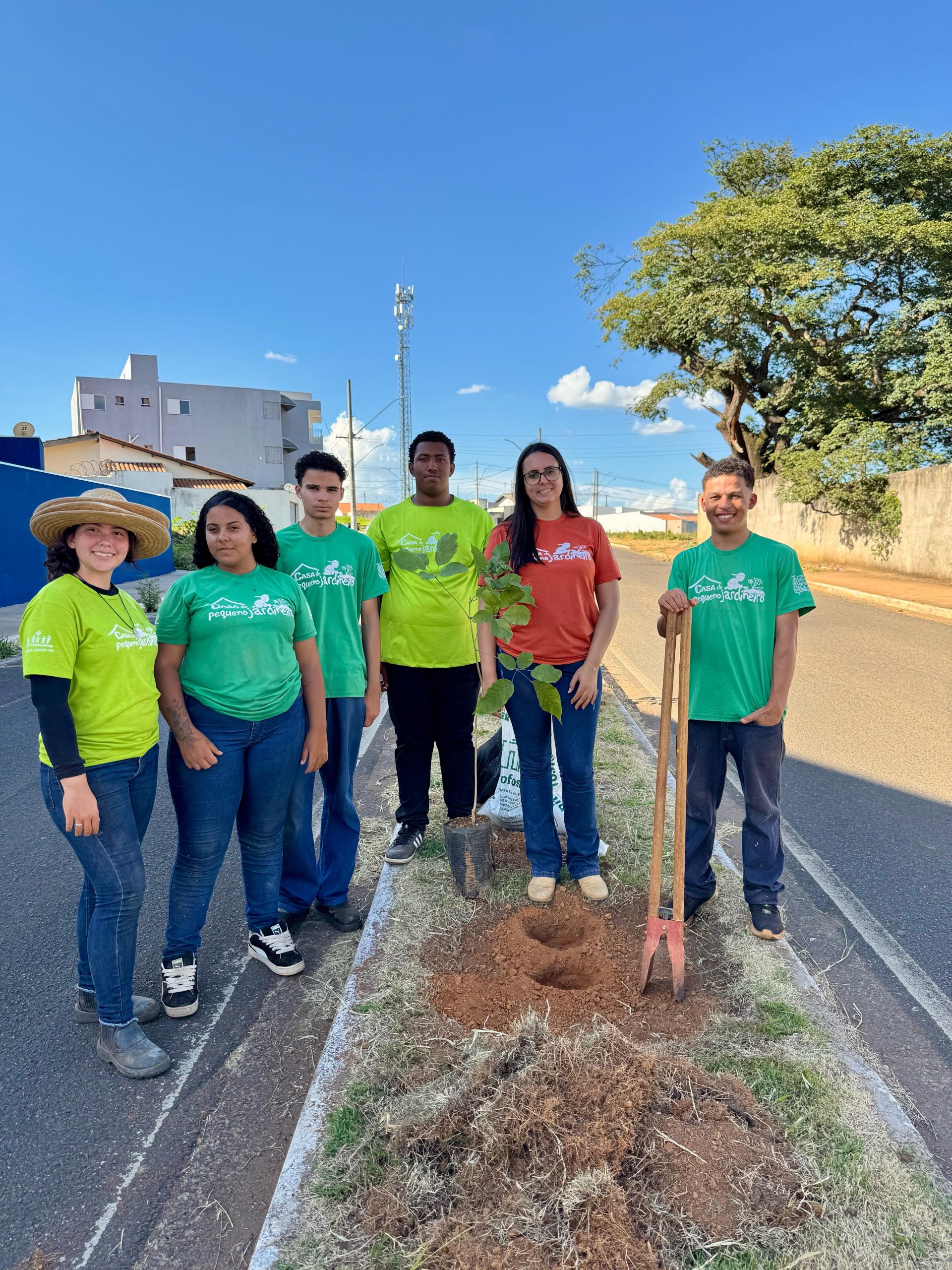 Raízes do Futuro – Projeto inicia plantio de árvores em Araxá