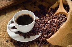 Do campo à xícara: o que diferencia o café especial do café tradicional?