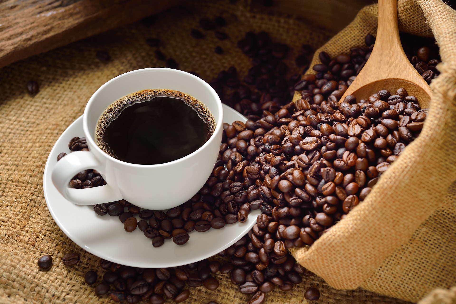 Do campo à xícara: o que diferencia o café especial do café tradicional?