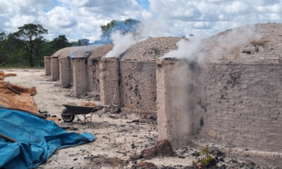 Tecnologia impulsiona combate aos crimes ambientais em Minas Gerais