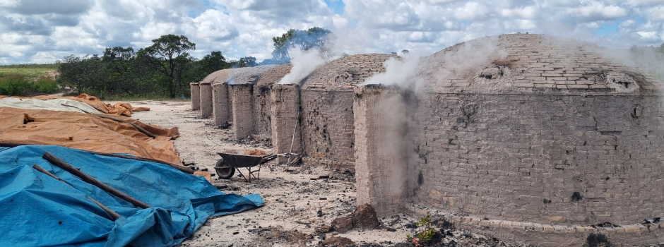 Tecnologia impulsiona combate aos crimes ambientais em Minas Gerais
