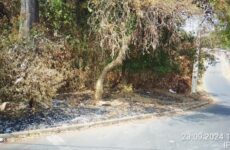 IPDSA intensifica fiscalização em terrenos baldios para prevenir incêndios