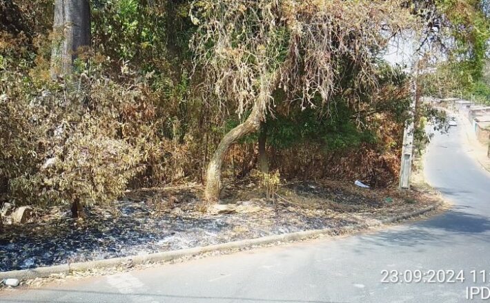 IPDSA intensifica fiscalização em terrenos baldios para prevenir incêndios