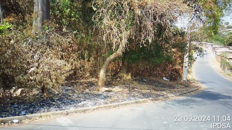 IPDSA intensifica fiscalização em terrenos baldios para prevenir incêndios