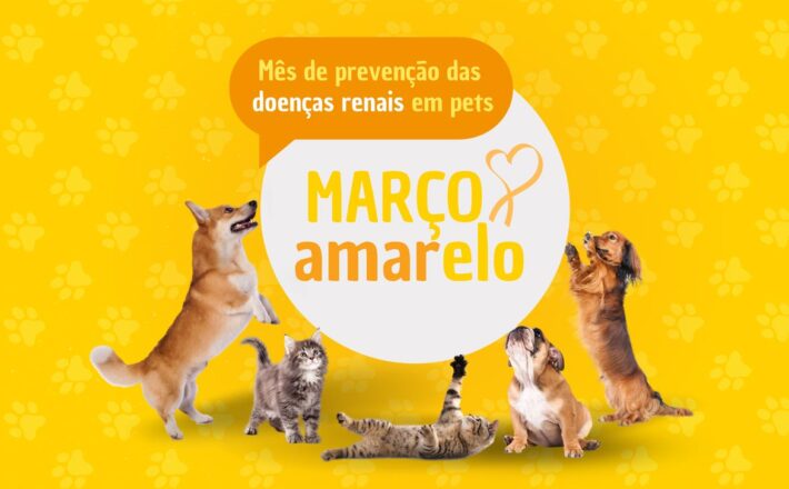 Maio Amarelo: mês de conscientização sobre prevenção e diagnóstico de doenças renais em cães e gatos