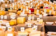 ExpoQueijo Brasil começa com recorde internacional e reforça posição como vitrine mundial do queijo artesanal