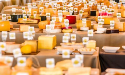 ExpoQueijo Brasil começa com recorde internacional e reforça posição como vitrine mundial do queijo artesanal