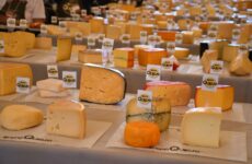 ExpoQueijo Brasil 2025 movimenta Araxá e consagra o queijo artesanal brasileiro no cenário internacional