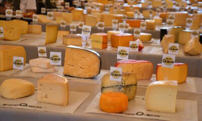 ExpoQueijo Brasil 2025 movimenta Araxá e consagra o queijo artesanal brasileiro no cenário internacional