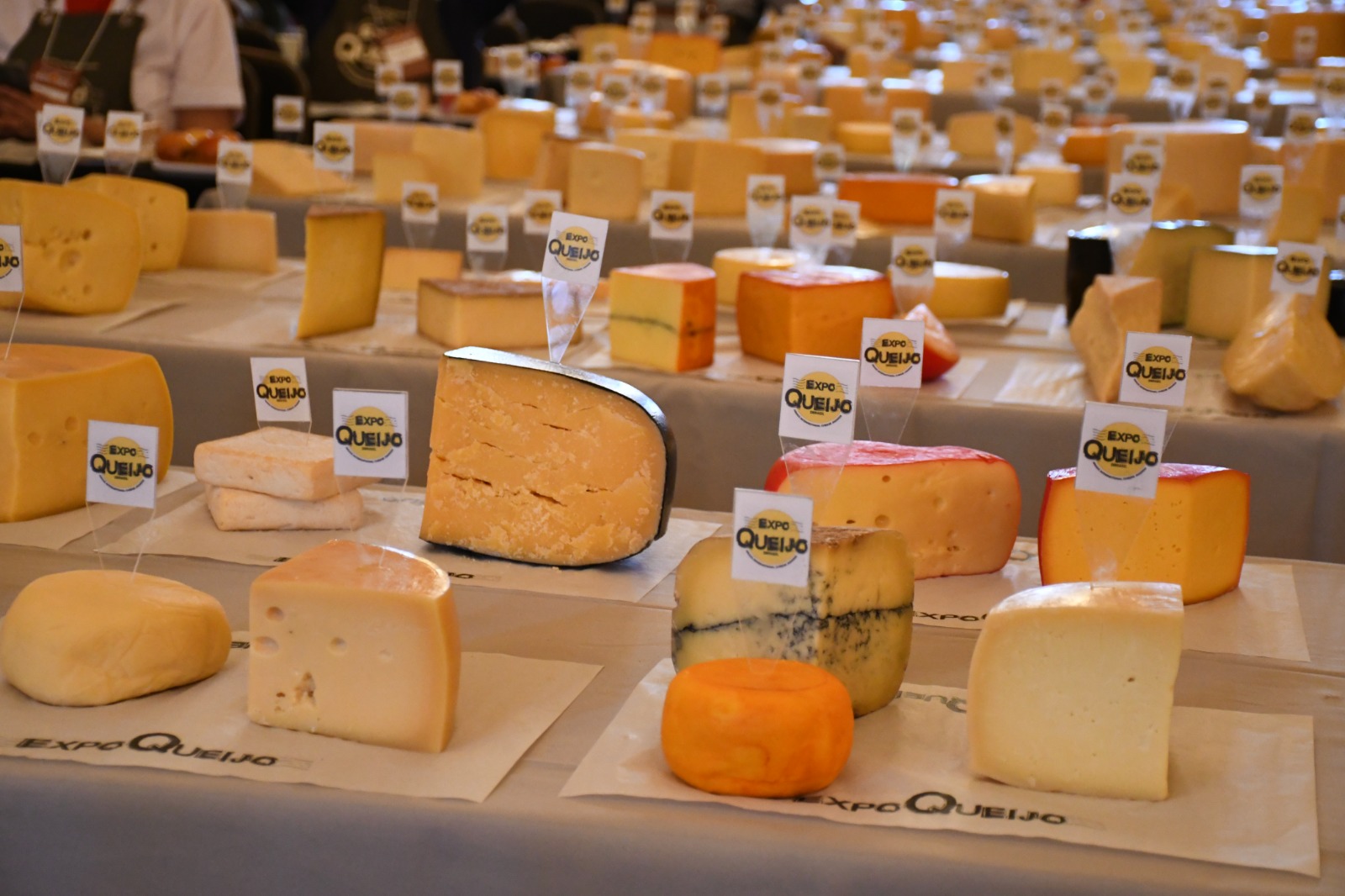 ExpoQueijo Brasil 2025 movimenta Araxá e consagra o queijo artesanal brasileiro no cenário internacional