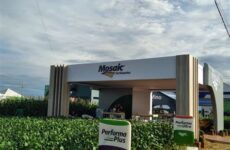 Mosaic inaugura mais uma horta sensorial em escola municipal de Araxá