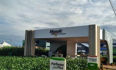 Mosaic inaugura mais uma horta sensorial em escola municipal de Araxá