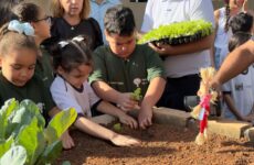Prefeitura de Araxá e Mosaic inauguram horta sensorial e acessível na Escola Lia Salgado