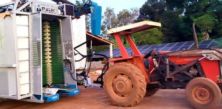 Produtor rural pode financiar novos itens a partir das linhas de crédito do BDMG