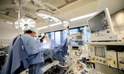 Cardiopatias congênitas: a importância do diagnóstico precoce na gestação e nas primeiras horas de vida