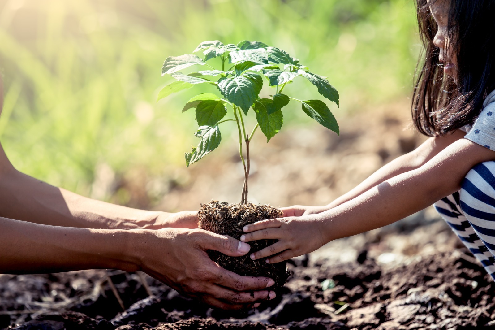 Araxá é selecionada entre 10 municípios mineiros para elaborar plano de combate às mudanças climáticas