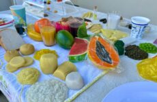 Araxá reforça atendimento nutricional nas unidades de saúde com novos recursos didáticos