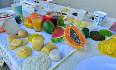 Araxá reforça atendimento nutricional nas unidades de saúde com novos recursos didáticos