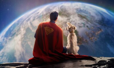 Krypto inspira adoções: o poder da amizade entre humanos e pets