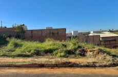 IPDSA orienta população sobre procedimentos para terrenos sujos