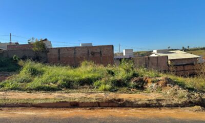 IPDSA orienta população sobre procedimentos para terrenos sujos