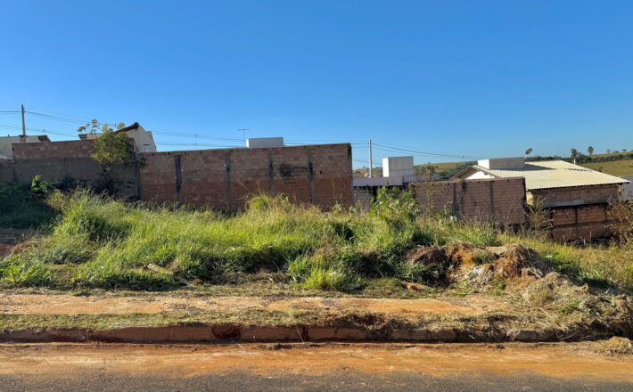 IPDSA orienta população sobre procedimentos para terrenos sujos