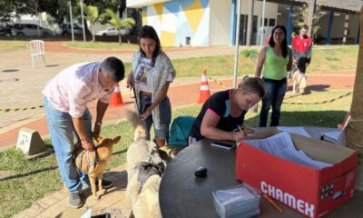 Prefeitura realiza mais uma etapa do mutirão de castração, totalizando 500 esterilizações em 2025