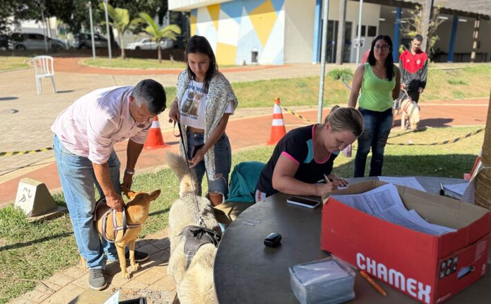 Prefeitura realiza mais uma etapa do mutirão de castração, totalizando 500 esterilizações em 2025