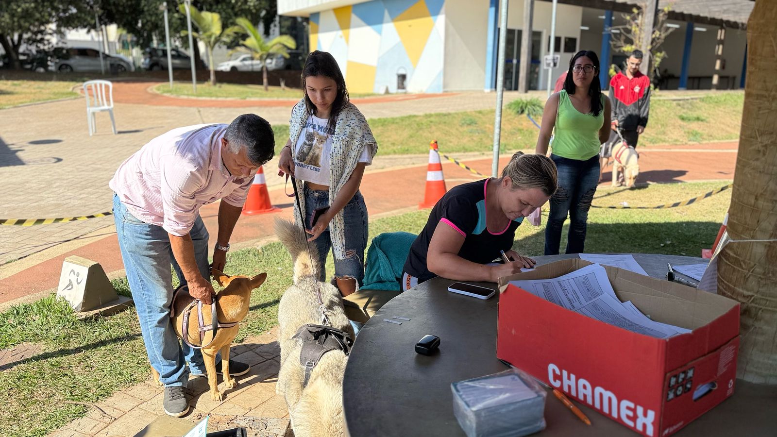 Prefeitura realiza mais uma etapa do mutirão de castração, totalizando 500 esterilizações em 2025