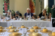 Começam as inscrições para a escolha dos melhores Queijos Artesanais de Minas Gerais em 2025