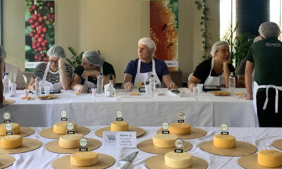 Começam as inscrições para a escolha dos melhores Queijos Artesanais de Minas Gerais em 2025